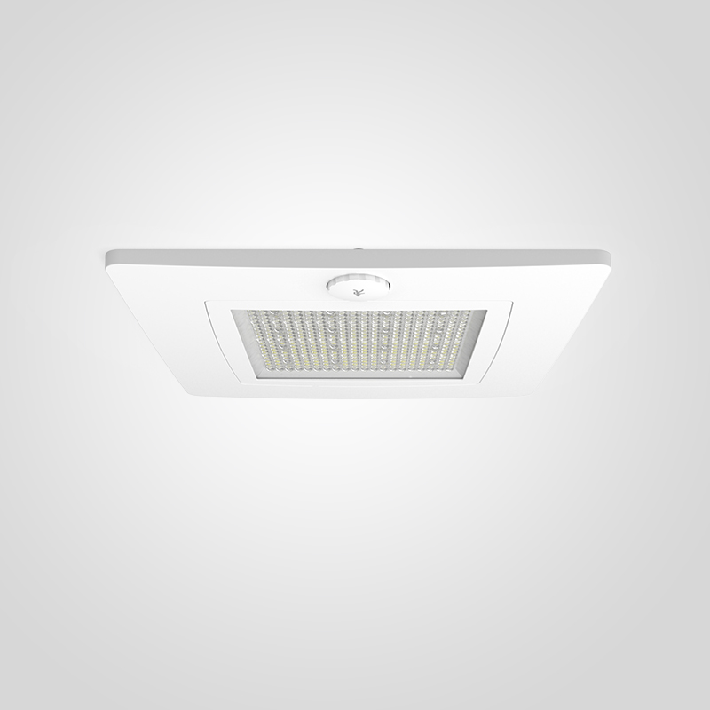 IP66 and IK07 Ratings for Durable and Weather-Resistant CP01-Series Canopy LED Light