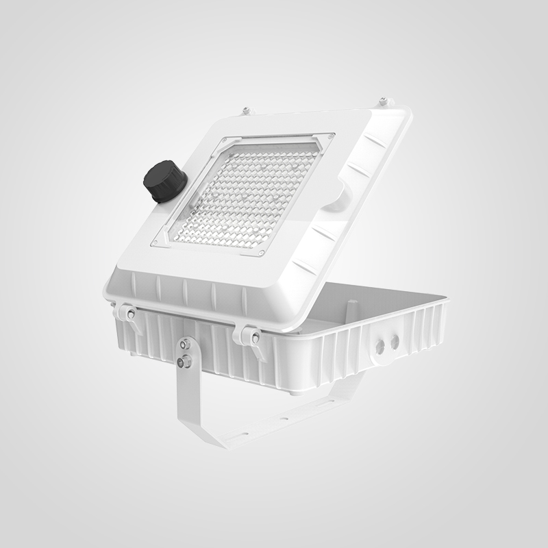 Robust Design LED Canopy Lights With Excellent Heat Dissipation for Gas Staation And Outdoors Uses